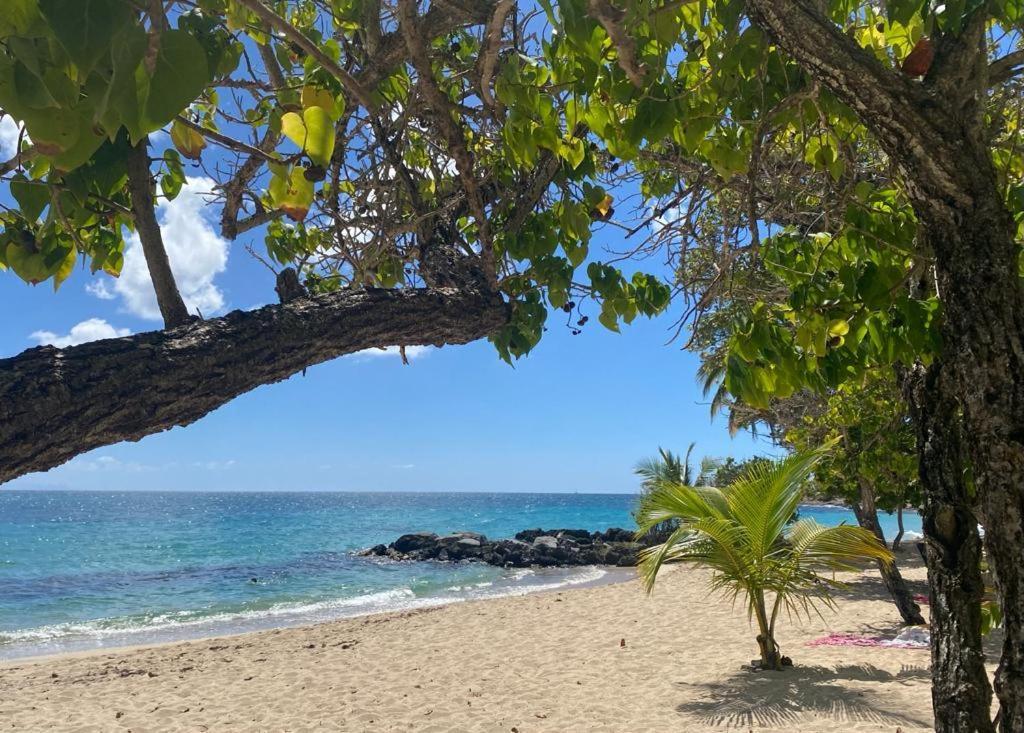 Les Hibiscus Apartment Sainte-Luce Luaran gambar