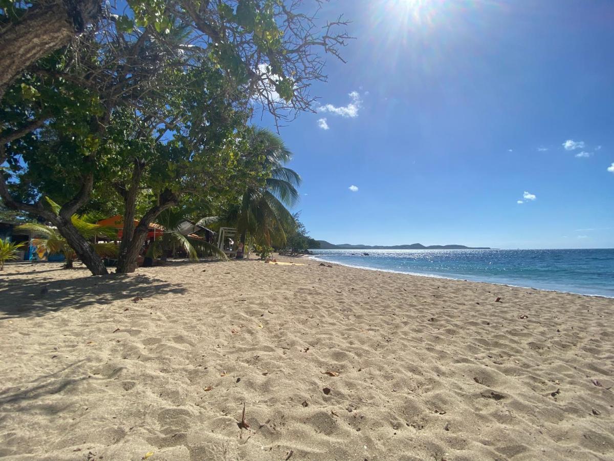 Les Hibiscus Apartment Sainte-Luce Luaran gambar